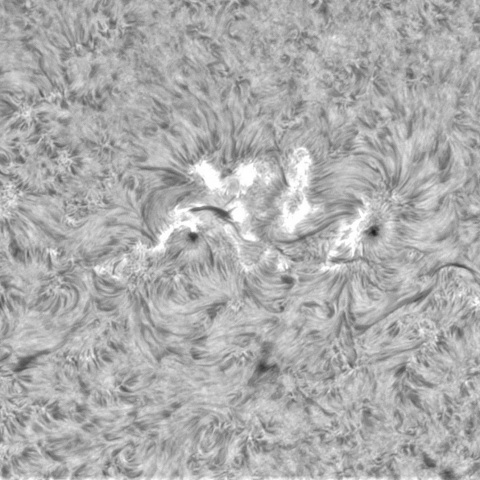10月12日の太陽④（3460）