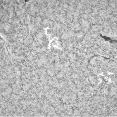 10月12日の太陽②（3465，3464，3462，3466，3461）