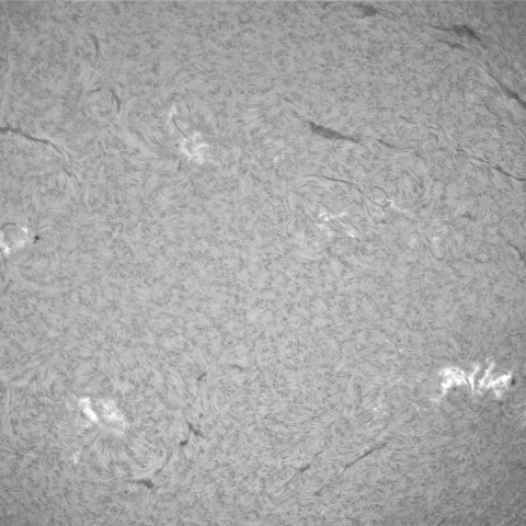 10月13日の太陽①（黒点帯）