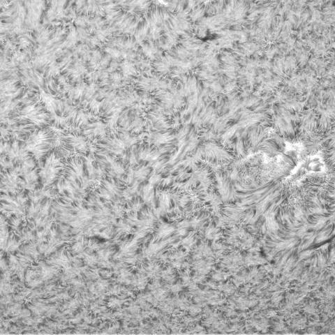 10月16日の太陽③（3463）