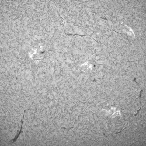 10月16日の太陽①（黒点帯）