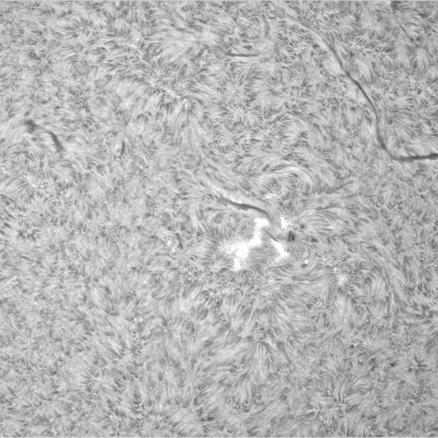 10月18日の太陽②（3467、3465、3464）