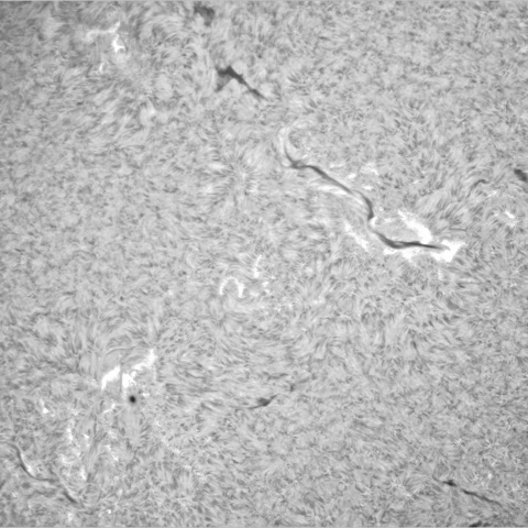 10月20日の太陽①（東半球　3468 左下）