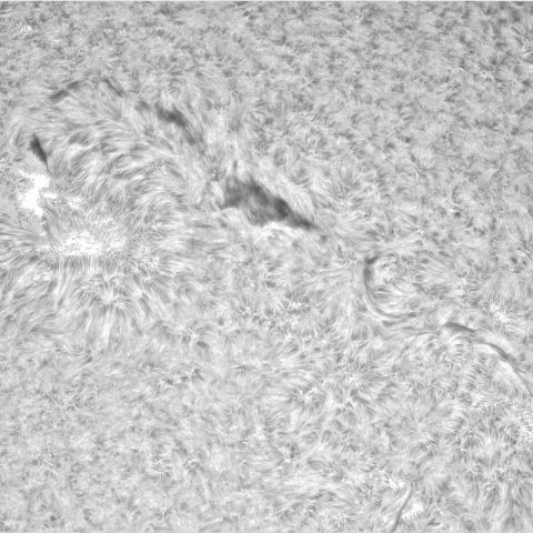 10月23日の太陽②（3470，3467）