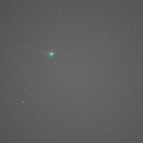 ラブジョイ彗星