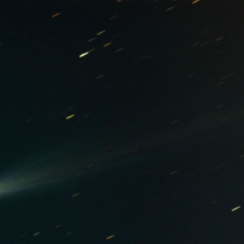 11/21のアイソン彗星