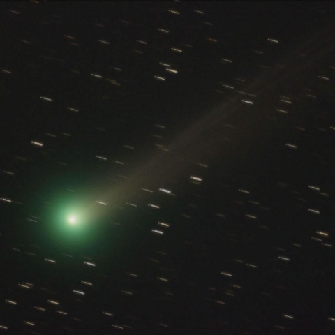 11/21 ラブジョイ彗星