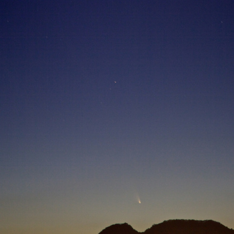 うっすらと長い尾のパンスターズ彗星