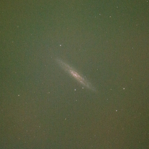 NGC253
