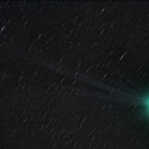 1/11　 ラブジョイ彗星