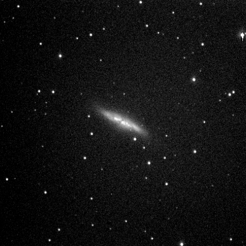 M82