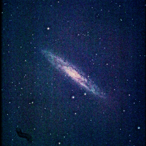 NGC253