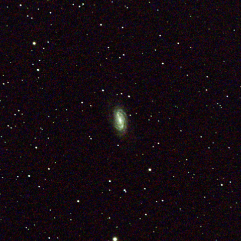 NGC2903