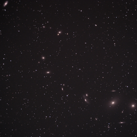 マルカリアンチェーン