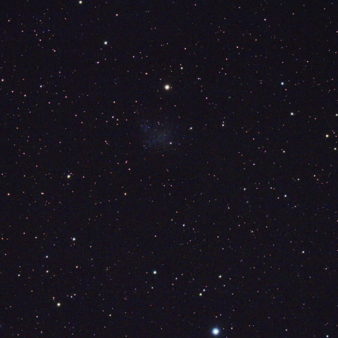 IC1613