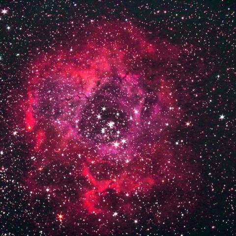 NGC2237-9 ばら星雲