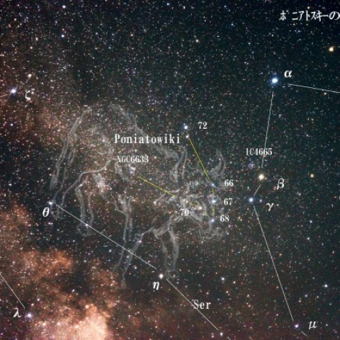 ポニアトフスキーの牡牛座