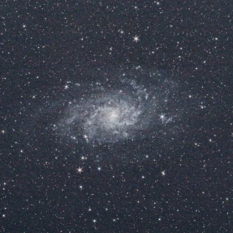 M33 渦巻銀河