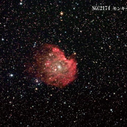 NGC2174 モンキー星雲