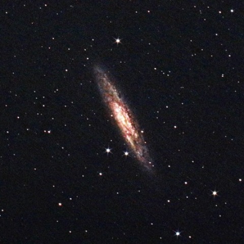 NGC253