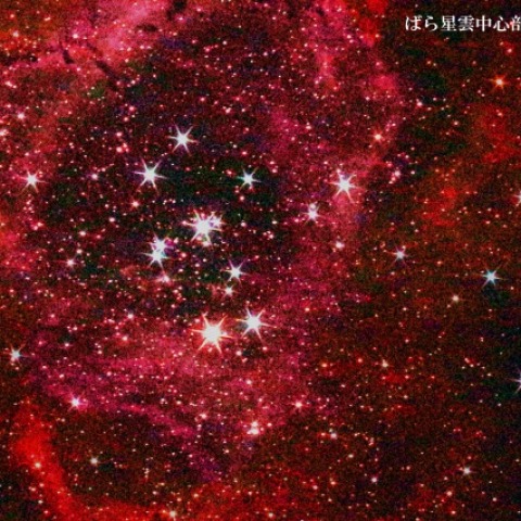 NGC2244 ばら星雲中心部散開星団