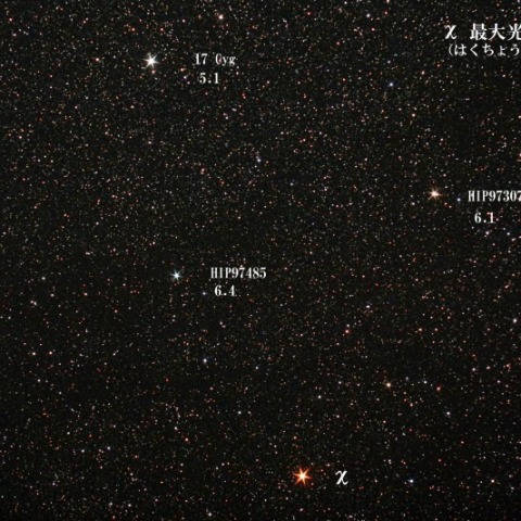 はくちょう座χ