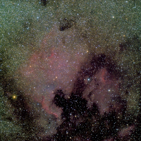 北アメリカ星雲とペリカン