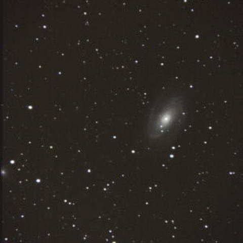 おおくま座の銀河M81,M82