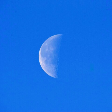 月齢21　朝の下弦の月　2023/10/7