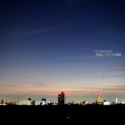 川口市からの紫金山・アトラス彗星と金星　 2024/10/14
