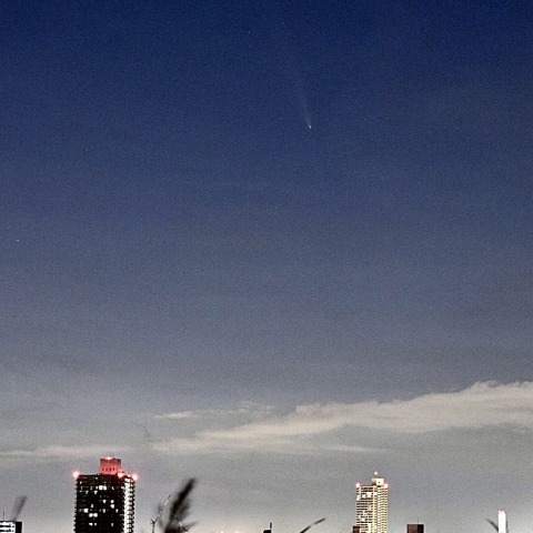 川口市からの紫金山・アトラス彗星 2024/10/15