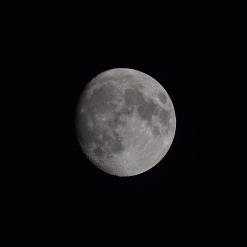 十三夜（後の月）2024/10/15