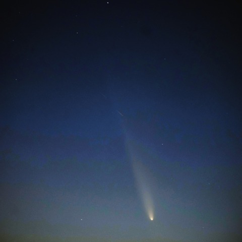 C/2023 A3 紫金山・アトラス彗星2024/10/13（画像処理版）