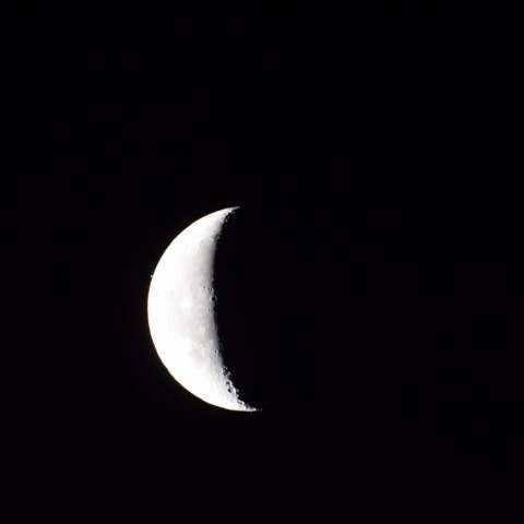 スピカ食（潜入直前）