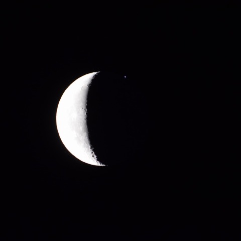 スピカ食（出現）