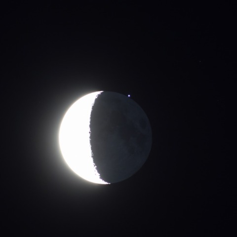 スピカ食（出現1分40秒後）