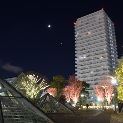 月、金星、土星の接近と川口リリアパークのイルミネーション 2025/1/4（その1）