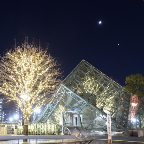 月、金星、土星の接近と川口リリアパークのイルミネーション 2025/1/4（その2）