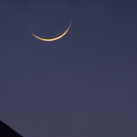 月齢1.4の月と水星の接近2025/3/1