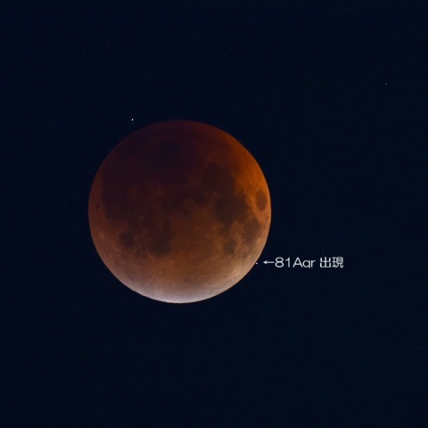 皆既月食中の掩蔽 81Aqr出現 2025/9/8