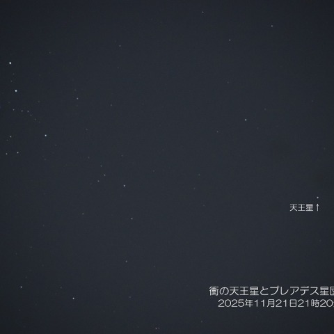 衝の天王星とプレアデス星団の接近 2025/11/21
