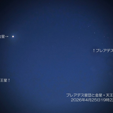 プレアデス星団と金星・天王星の接近 2026/4/25