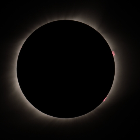 アメリカ横断皆既日食（マドラス）　内部コロナ、プロミネンス