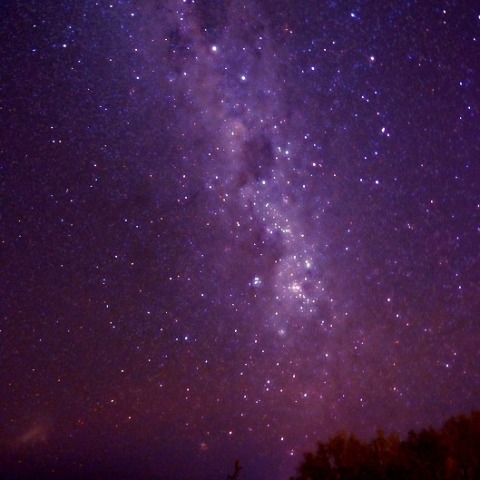 ケンタウルス、南十字からニセ十字へ、立ち上がる天の川