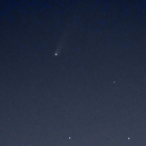 都会で見たネオワイズ彗星