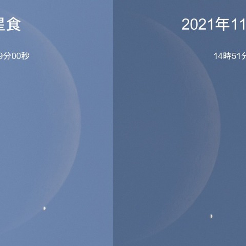 金星食