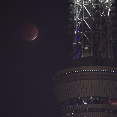 最大食分0.978と東京スカイツリー