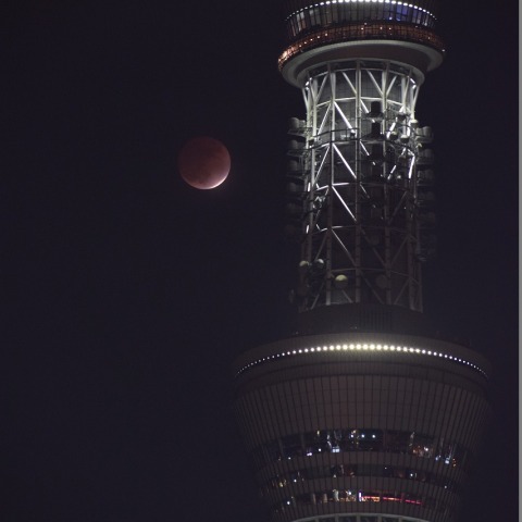 天望デッキ・天望回廊と最大食分0.978