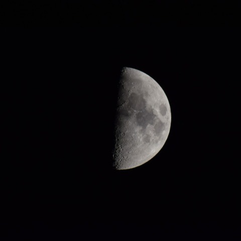 上弦の月（月齢7.5）