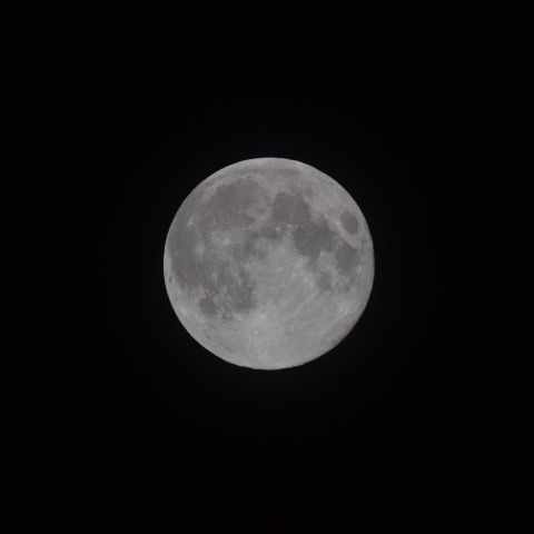 満月（コールドムーン）